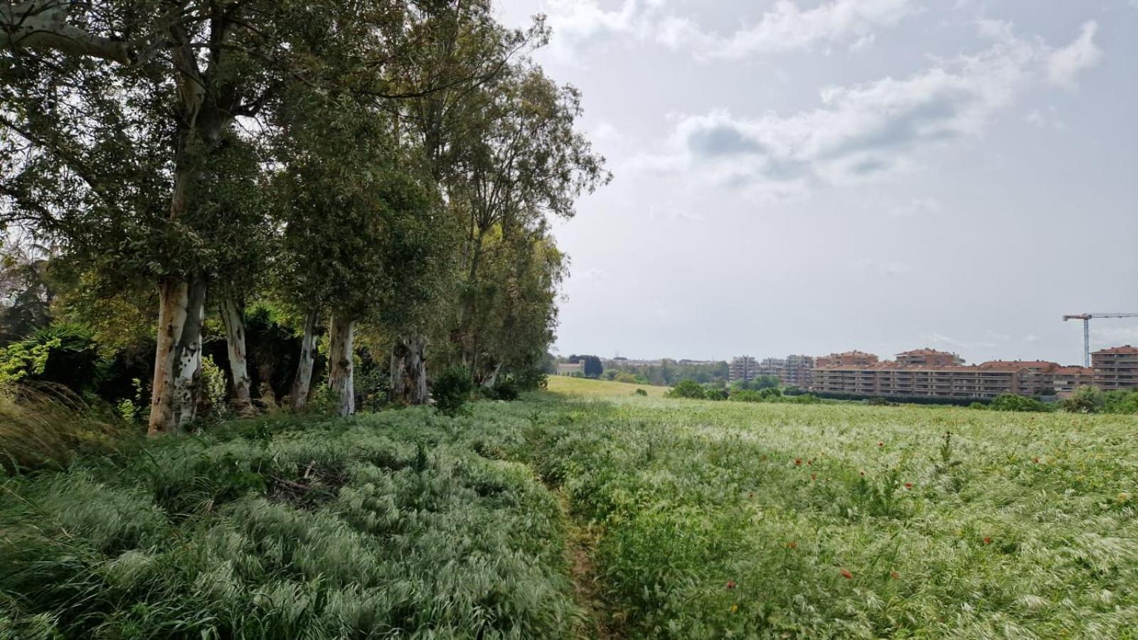 La Stanza Degli Abeti Blu Homestay *